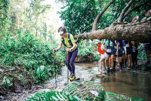 BIB: 
                            <button type="button" onclick="openModal(25475471)" class="btn btn-primary btn-sm float-right btn-popup" data-toggle="modal" data-target=".modal-high-quality">
                        <i class="fas fa-shopping-cart"></i> Add to Cart
                    </button>
                                            <button type="button" onclick="isThisMe(25475471, true)" class="btn btn-success btn-sm float-right btn-popup btn-isme hidden" data-toggle="tooltip" data-placement="bottom" title="นี่คือรูปของคุณใช่ไหม คลิกที่นี่เพื่อเอาเข้าอัลบั้ม">
                        <i class="fas fa-plus"></i> Add to album
                    </button>
                    <button type="button" onclick="isThisMe(25475471, false)" class="btn btn-warning btn-sm float-right btn-popup btn-isnotme hidden">
                        <i class="fas fa-ban"></i> Remove from album
                    </button>